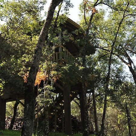 Los Nidos De Santa Maria Арройо-Фрио Экстерьер фото